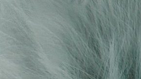 Photo: Unsplash/Alexandru Zdrobău