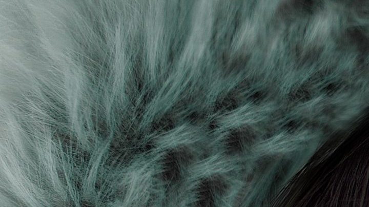 Photo: Unsplash/Alexandru Zdrobău