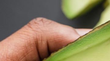 avocado