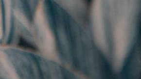 Photo: Unsplash/@luismachadodirector