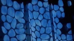 Agnes Chavez HipLatina