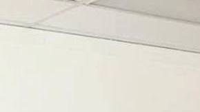 Stereotypes HipLatina Diana Rico People's Yoga