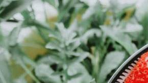 Photo: Unsplash/@disguise_truth