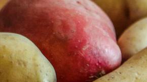 Photo: Unsplash/@benstudio