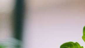 Photo: Unsplash/@gallarotti