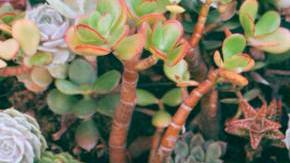 Photo: Unsplash/@orlovamaria