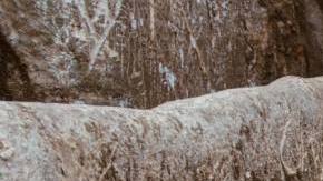 Photo: Unsplash/@asaelamaury