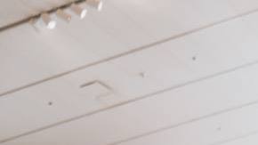 Photo: Unsplash/@sadswim