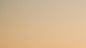 Photo: Unsplash/@sagefriedman