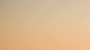 Photo: Unsplash/@sagefriedman