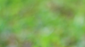 Environment HIpLatina