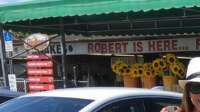 2017 Chevy Malibu Exploring South Florida