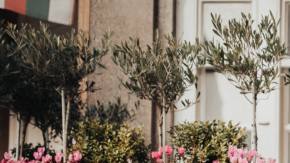 Photo: Unsplash/@alekonpictures