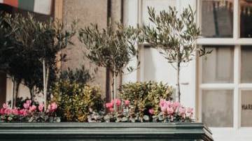 Photo: Unsplash/@alekonpictures