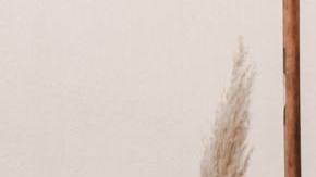 Photo: Unsplash/@anotherlovely