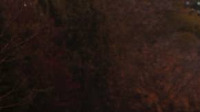 Photo: Unsplash/@baileyzindel