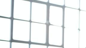 Photo: Unsplash/@brucemars