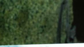 Photo: Unsplash/@lelacag