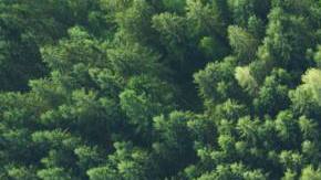 Photo: Unsplash/@johnonolan