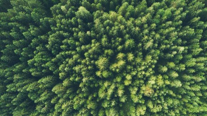 Photo: Unsplash/@johnonolan