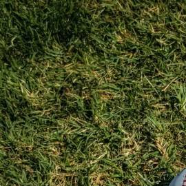 Photo: Unsplash/@rocinante_11