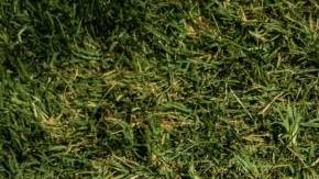 Photo: Unsplash/@rocinante_11