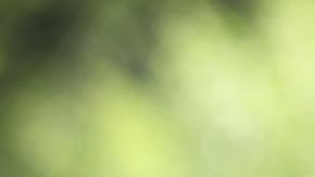 mujer con un sombrero en su jardín