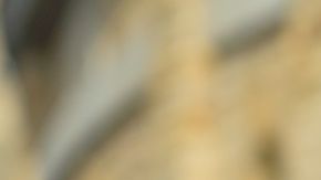 Study Abroad, College student