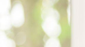 plantas ornamentales