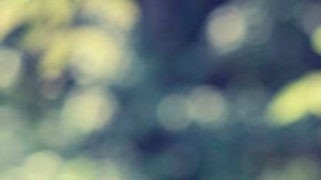 noticias falsas HipLatina