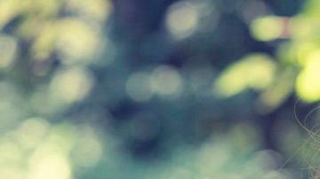 noticias falsas HipLatina