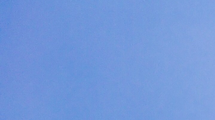 Cartagena Bandera HipLatina