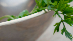 Usos médicos, culinarios y cosméticos para el perejil HIpLatina