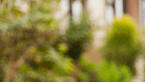 siembra consejos HipLatina