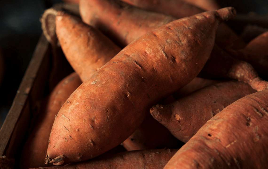 Los Cinco Palomillas – Illimana Encontré una polilla armiño (creo) en mi departamento - ¿y