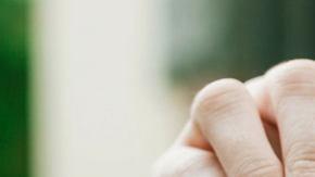 Libro Relata la Historia del Jardín a Través de 50 Herramientas HipLatina