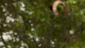 mujer leyendo con su hija