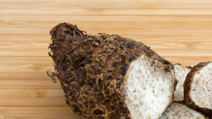 Cómo Sembrar la Malanga HipLatina