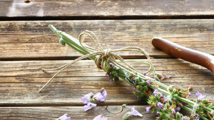 tijeras para el jardin HipLatina