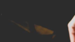 Photo: Wikimedia/Gage Skidmore