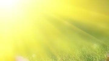 Photo: Unsplash/@flashbuddy