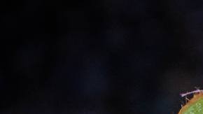 Photo: Unsplash/jblesly