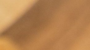 Photo: Unsplash/@pastdexter