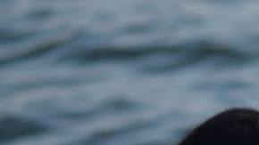 Photo: Unsplash/@pmpietsch