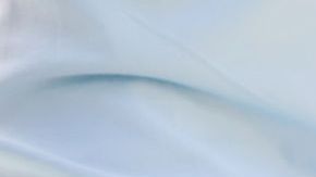 un árbol para tu jardín