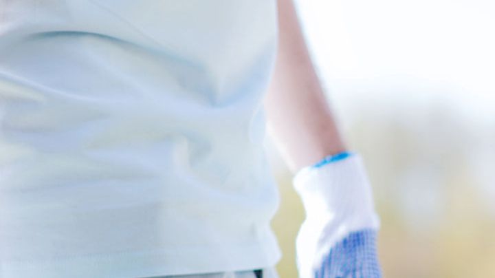 un árbol para tu jardín