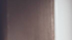 Photo: Unsplash/@seabas