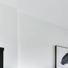 Photo: Unsplash/@sidekix