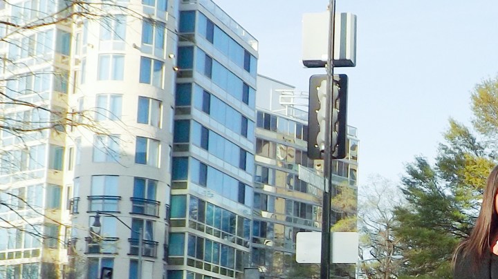 voto latino Natasha Marquez HIpLatina