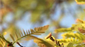 Photo: Unsplash/@win2thant